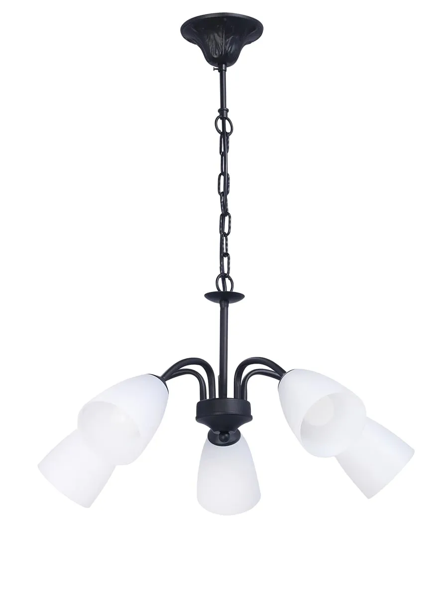 Изображение - Люстра RS204/5 "Милана"